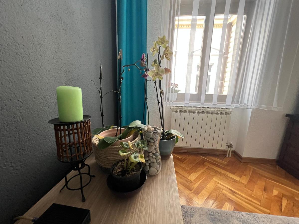 Djana Apartment SJJ Exteriér fotografie